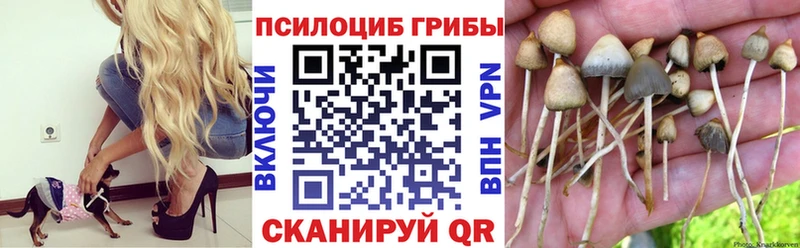 darknet наркотические препараты  Нижняя Тура  Галлюциногенные грибы прущие грибы 